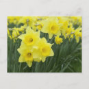 Search for horticulture postcards Outdoor