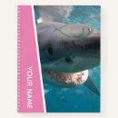 Search for shark girl Fish