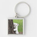 Search for behind key rings Animal