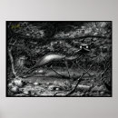 Search for caught posters Nature