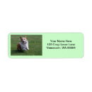 Search for brown white dog return address labels Canine