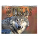 Search for pack office supplies Wolf