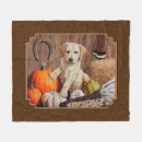 Search for halloween dog blankets Pumpkins