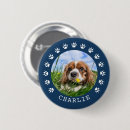 Search for canines badges For pets