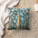 Search for aspen cushions Danita delimont