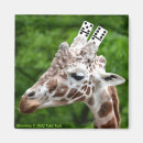 Search for dominoes magnets Funny