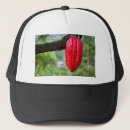 Search for cocoa hats Chocolate