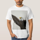 Search for baldeagle Americanpride