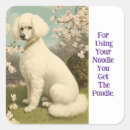 Search for poodle stickers Cute
