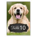 Search for dog wedding table cards Unique