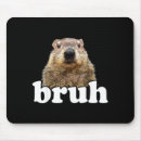 Search for explains photography Groundhog day explained