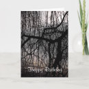 Search for willow tree cards Trees