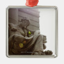 Search for low angle view christmas tree decorations Usa