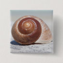 Search for seashell badges Waves