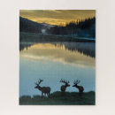 Search for elk puzzles Lake