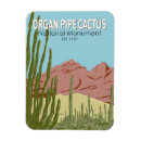 Search for pipe organ magnets Cacti