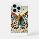 Search for fritillary Insect