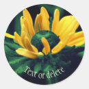 Search for black eyed susan flower stickers Floral