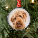 Search for mixed breed dog christmas tree decorations Cute