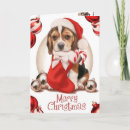 Search for santa beagle christmas cards Merry