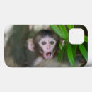 Search for baby monkey iphone cases Japanese macaque
