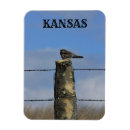 Search for posts magnets Bird