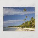 Search for plantation postcards Coast