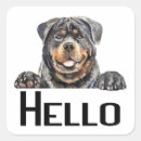 Search for rottweiler puppies stickers Rottie
