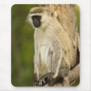 Search for mcdonald mousepads Kenya