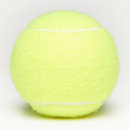 Search for blank tennis balls White