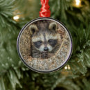 Search for raccoon christmas tree decorations Cute animals