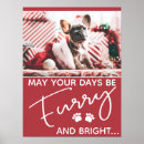 Search for french christmas posters Pet