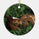 Search for thoroughbred horse christmas tree decorations Grass