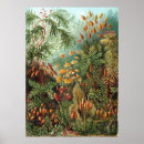 Search for objects art Vintage