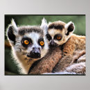 Search for pups art Animals