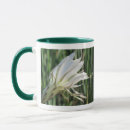 Search for cactus flower mugs Flowers