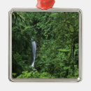 Search for volcano christmas tree decorations Travel