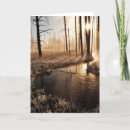Search for cold temperature cards Nature