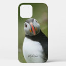 Search for puffin cases animals