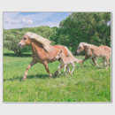Search for foal wrapping paper Cute