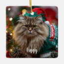 Search for norwegian christmas tree decorations Norwegian forest cat