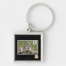 Search for this is why i key rings I can has cheezburger