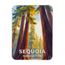 Search for sequoia national park magnets Trees