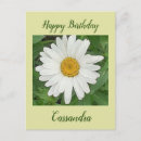 Search for happy birthday daisy flower postcards Green