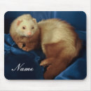 Search for ferrets mousepads Rodent