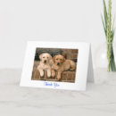Search for labrador thank you cards Puppies