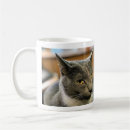 Search for girl talk mugs Chat