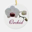 Search for orchid christmas tree decorations Tropical