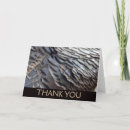 Search for wild designs cards Grey