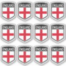 Search for world cup stickers Flag